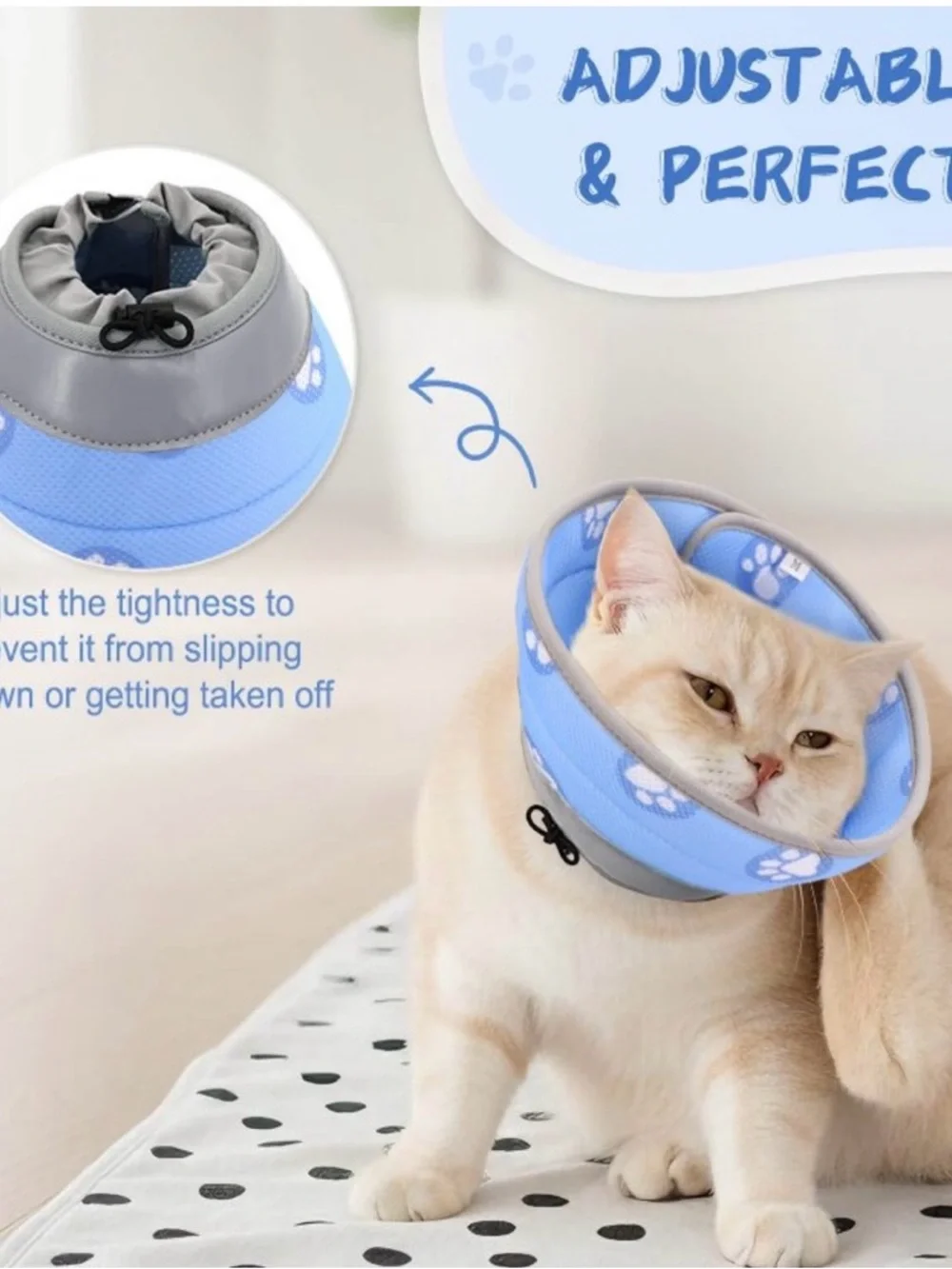 Adjustable Soft Padded Cat Collar - Blue Paw Print